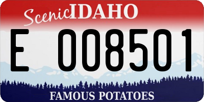 ID license plate E008501