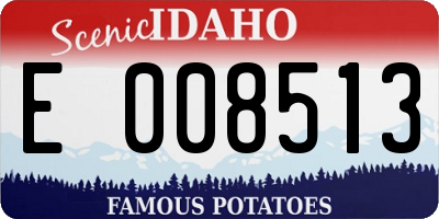 ID license plate E008513