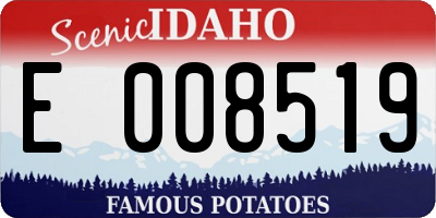 ID license plate E008519