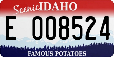 ID license plate E008524