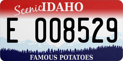 ID license plate E008529