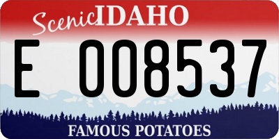ID license plate E008537