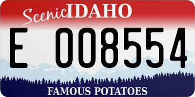 ID license plate E008554