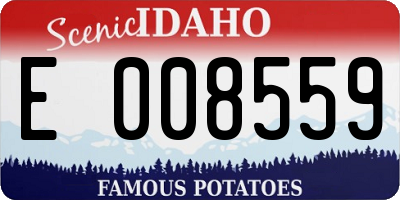 ID license plate E008559