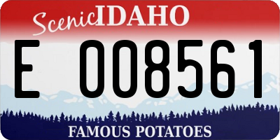 ID license plate E008561