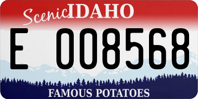 ID license plate E008568