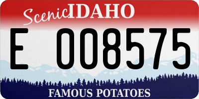 ID license plate E008575