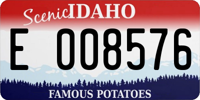 ID license plate E008576