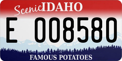 ID license plate E008580