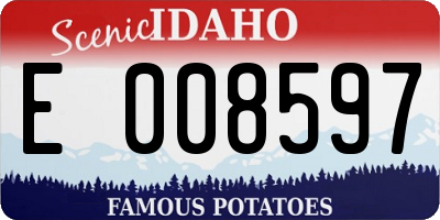 ID license plate E008597
