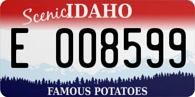 ID license plate E008599