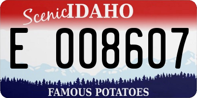 ID license plate E008607