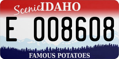 ID license plate E008608