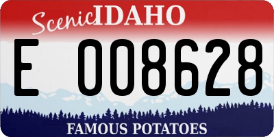 ID license plate E008628