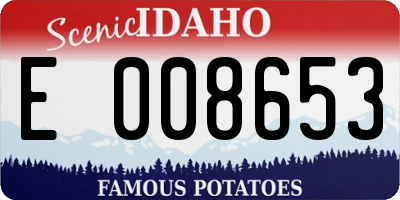ID license plate E008653