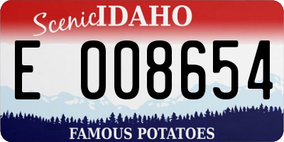 ID license plate E008654