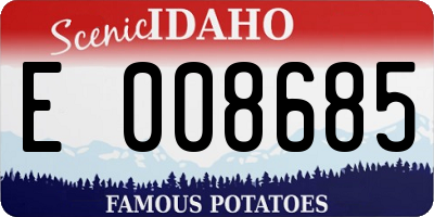 ID license plate E008685