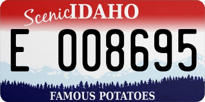 ID license plate E008695