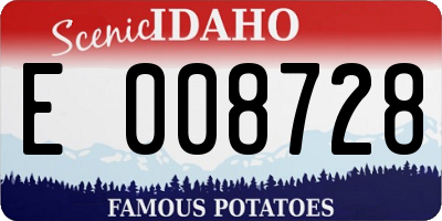 ID license plate E008728