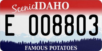 ID license plate E008803