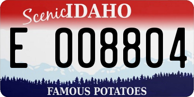 ID license plate E008804