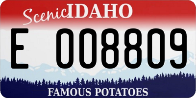 ID license plate E008809