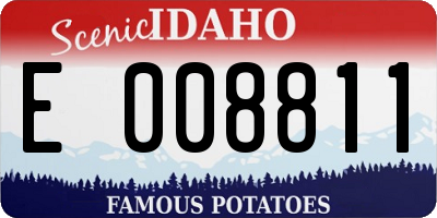 ID license plate E008811