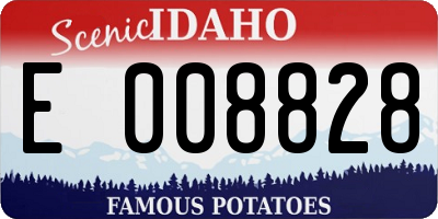 ID license plate E008828