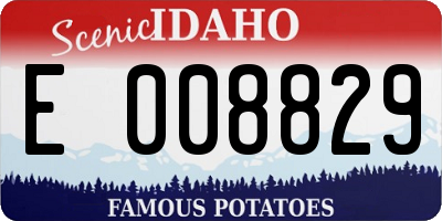 ID license plate E008829