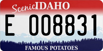 ID license plate E008831