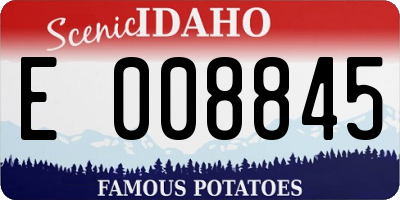 ID license plate E008845