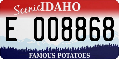 ID license plate E008868