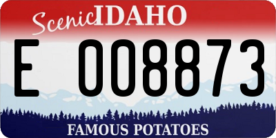 ID license plate E008873