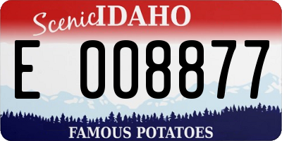 ID license plate E008877