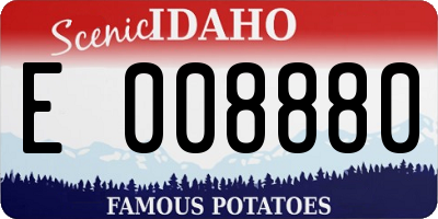 ID license plate E008880