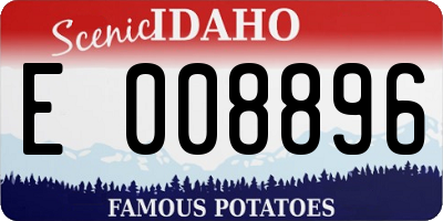 ID license plate E008896