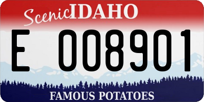 ID license plate E008901