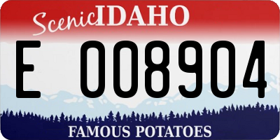 ID license plate E008904