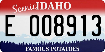 ID license plate E008913