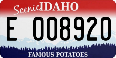 ID license plate E008920