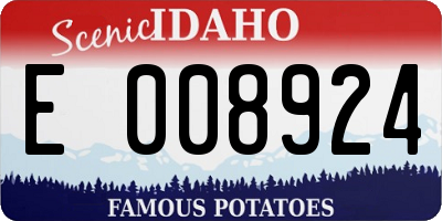 ID license plate E008924