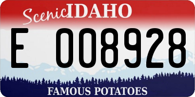 ID license plate E008928