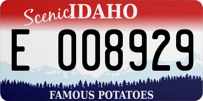 ID license plate E008929