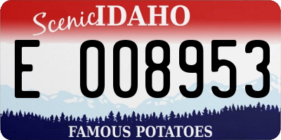 ID license plate E008953