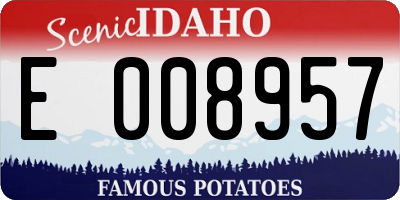 ID license plate E008957