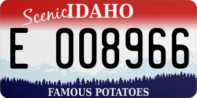 ID license plate E008966