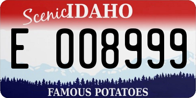 ID license plate E008999
