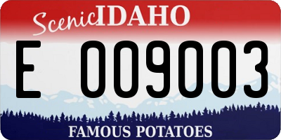 ID license plate E009003