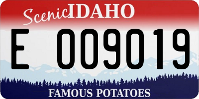 ID license plate E009019
