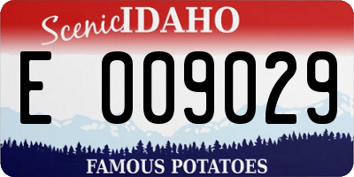 ID license plate E009029